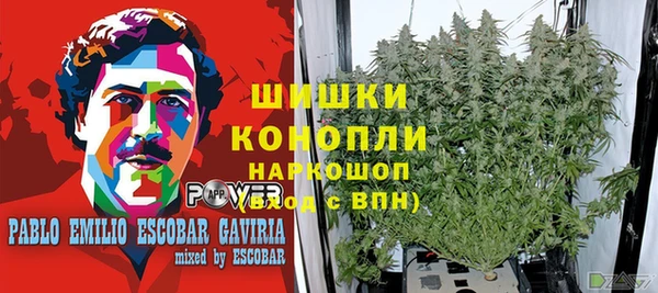 ECSTASY Арсеньев