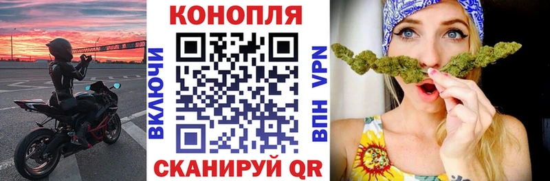 MEGA ссылки Приморск Бошки марихуана гибрид как найти